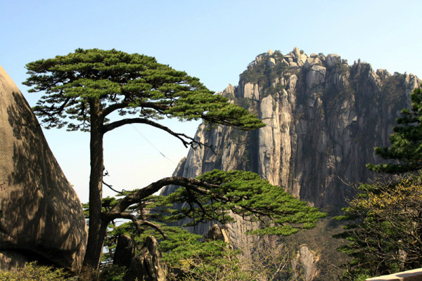 南京旅游季节最佳_南京最适合去的季节_南京旅游哪个季节最好的选择