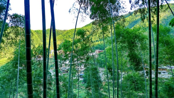 南京旅游哪个季节最好的选择_南京最适合去的季节_南京旅游季节最佳