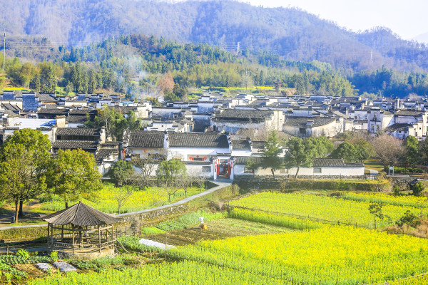 南京旅游季节最佳_南京最适合去的季节_南京旅游哪个季节最好的选择