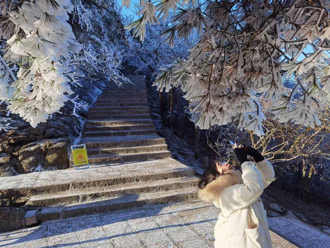 黄山市冬季旅游景点_冬季黄山旅游着装_冬季黄山旅游装备