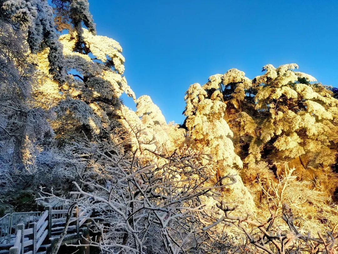 冬季黄山旅游着装_冬季黄山旅游装备_黄山市冬季旅游景点