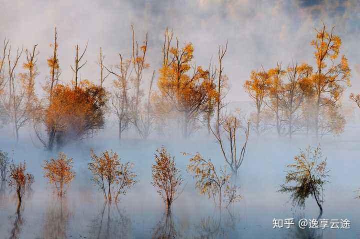 昆明的旅游旺季是几月_昆明旅游最好的季节是_昆明最好玩的季节