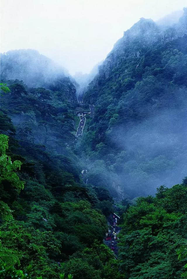 五一登泰山啦！四条线路，带你花式上泰山看奇观