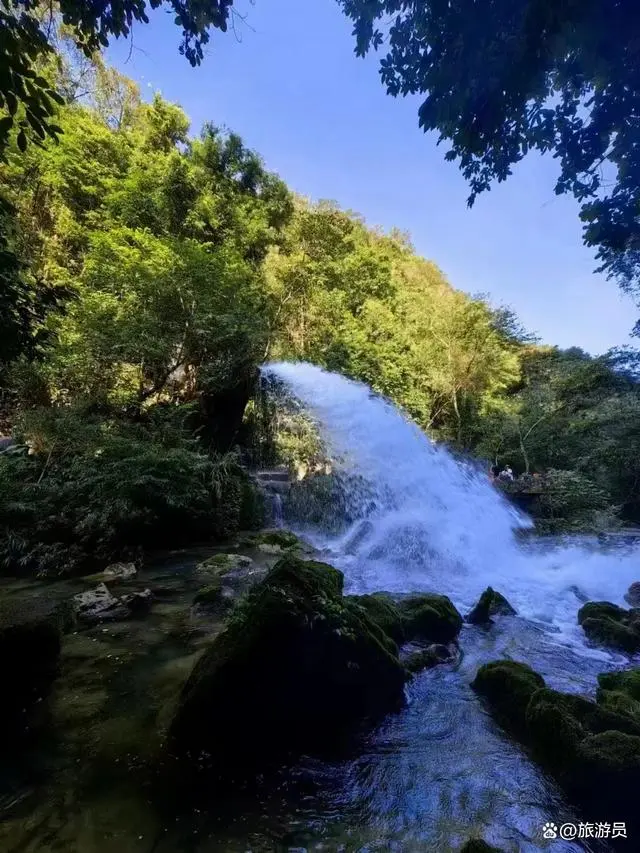 旅游团报名的套路是什么_旅行套路_什么是套团