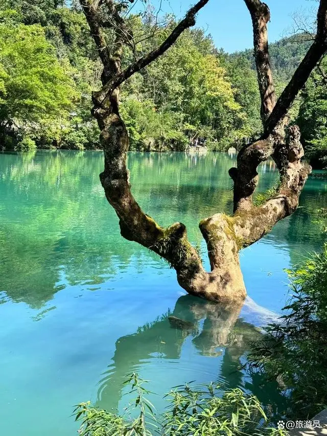 什么是套团_旅行套路_旅游团报名的套路是什么