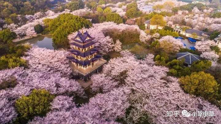 无锡特色旅游小镇_旅游特色无锡_无锡特色旅游餐饮店百年老字号