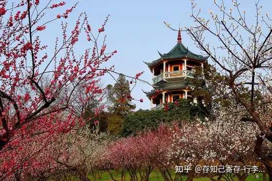 旅游特色无锡_无锡特色旅游景点_无锡特色旅游小镇