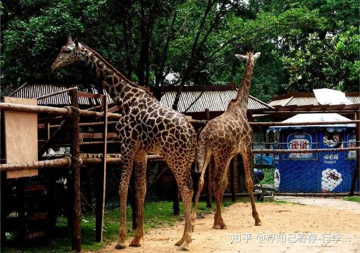 无锡特色旅游小镇_无锡特色旅游景点_旅游特色无锡