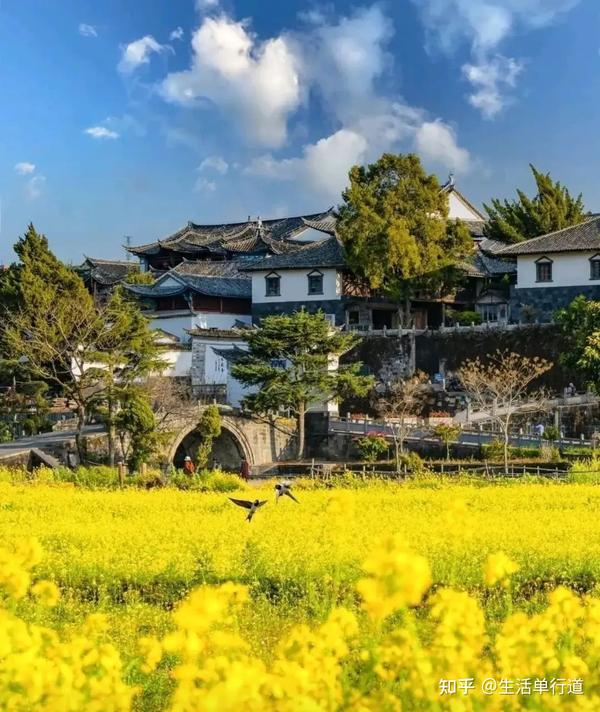 天津家庭旅游好去处_去天津旅游住哪里_来天津旅游住哪里经济实惠