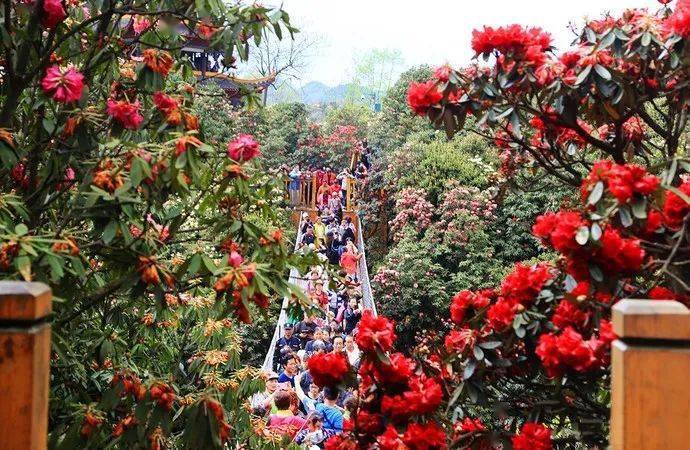 5月旅游推荐国内_国内旅游月份推荐_每个月旅游景点推荐表