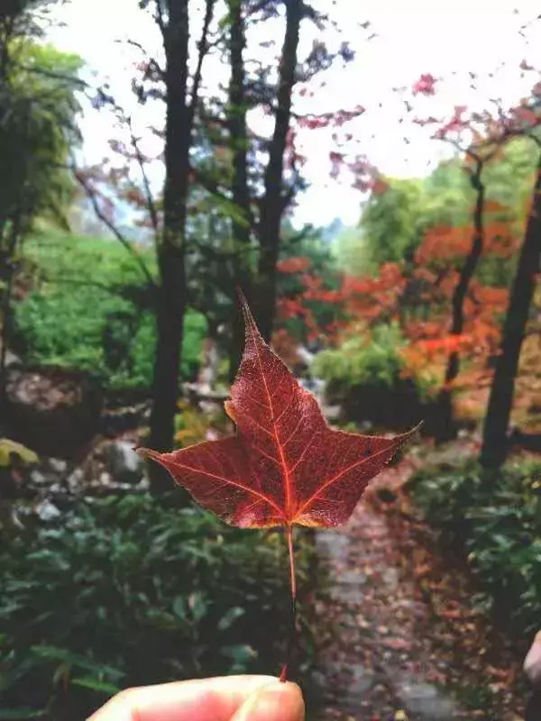 安吉情侣旅游冬天_安吉冬天有什么好玩的景点_冬天去安吉