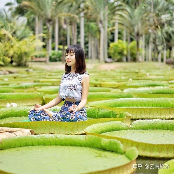 自驾攻略旅游自由行泸沽湖路线_自驾泸沽湖旅游自由行攻略_泸沽湖自驾旅游攻略完全版