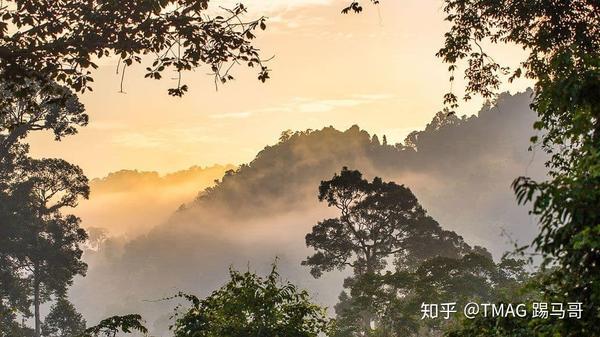 洛翁旅游景点_翁牛特沙漠旅游攻略_洛南翁沟景区怎么去