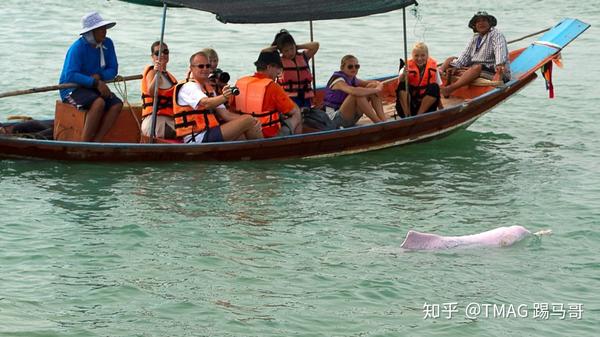 翁牛特沙漠旅游攻略_洛翁旅游景点_洛南翁沟景区怎么去