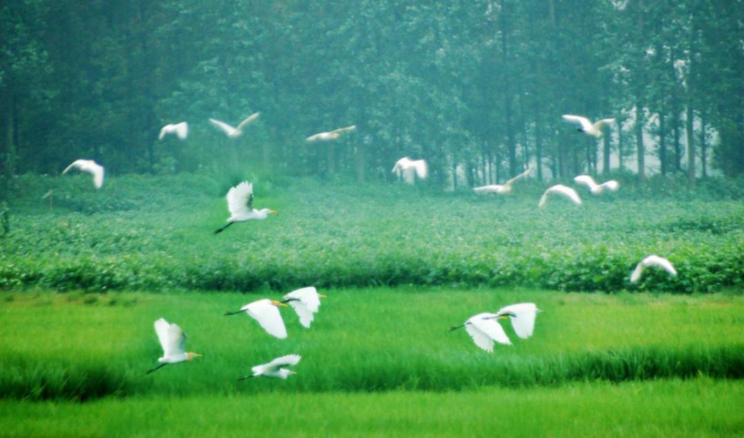 龙虾旅游线路_龙虾旅行家_小龙虾旅游