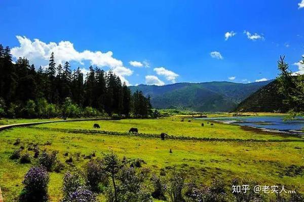 西昌泸沽湖旅游攻略自由行_西昌泸沽湖旅游攻略自驾游五天_西昌泸沽湖旅游景点