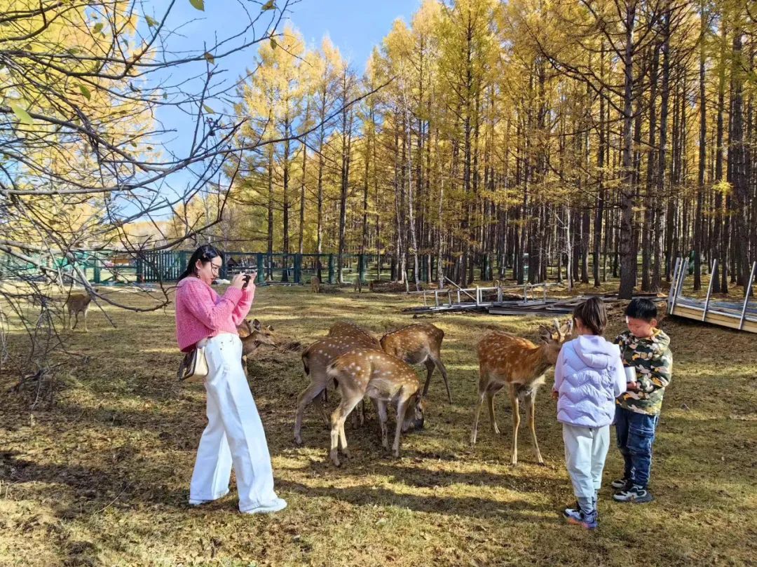 秋季旅游新闻_秋游的新闻报道_新闻秋季旅游文案