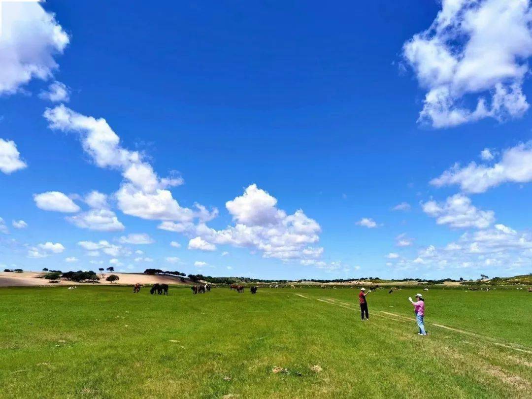 旅游团建_公司旅游团建团队票_旅游景点团队票便宜吗