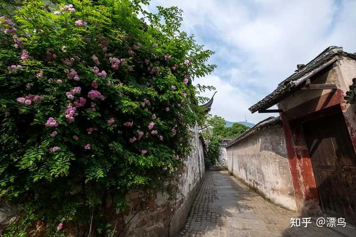 情侣夏天旅游去哪比较好_夏天旅游 情侣_情侣夏天旅游的句子