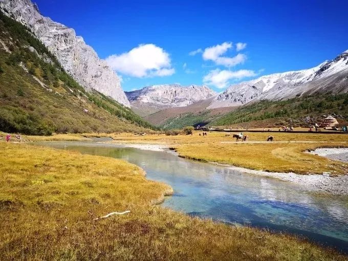 拉萨的特色旅游项目_拉萨亮点特色旅游景点_拉萨旅游特色及亮点