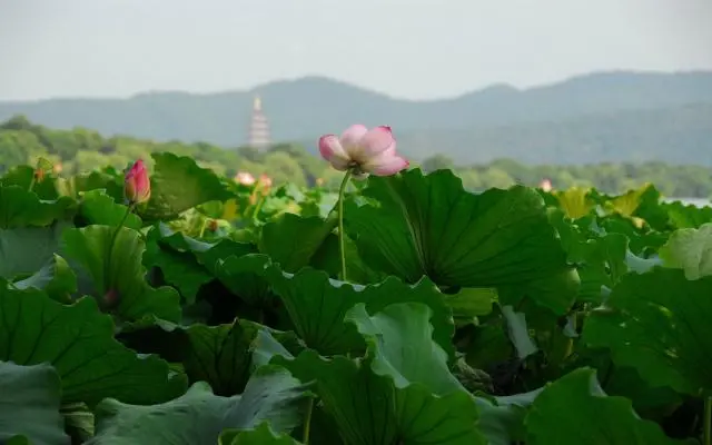 风光旅行_自由风光旅游_旅游风光是什么意思