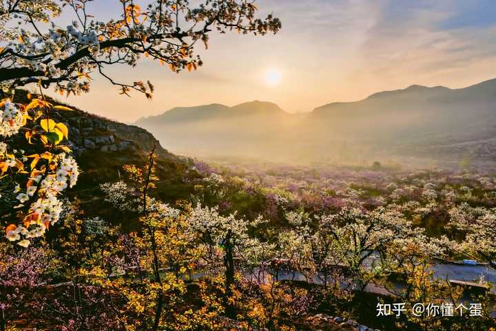 钟祥周边旅游景点_钟祥游玩_钟祥周边好玩的地方