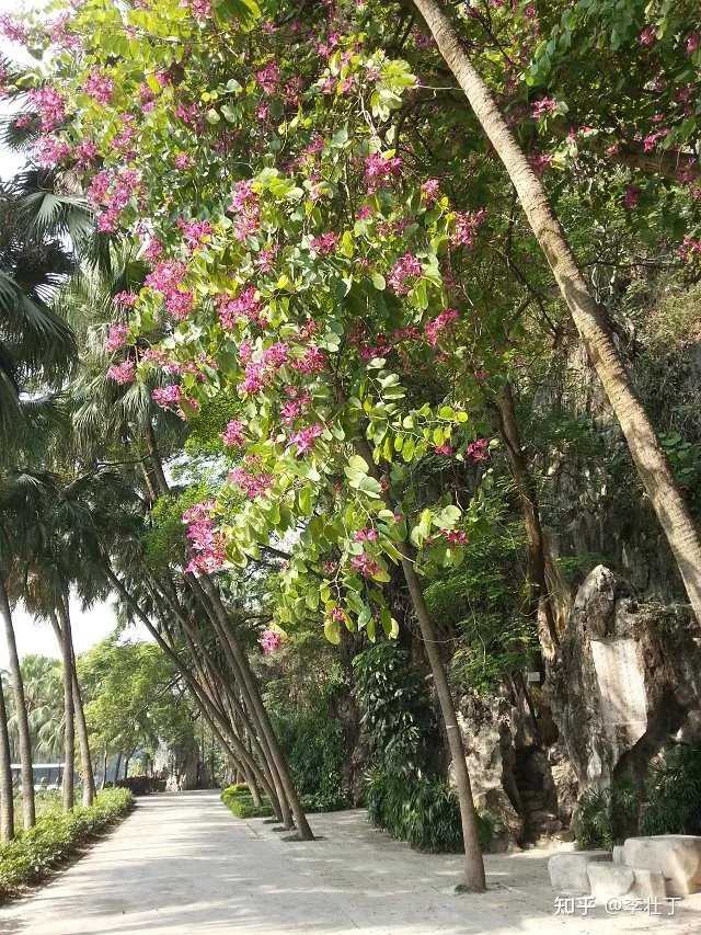 秋天美景旅游胜地_秋天旅游攻略景点必去_秋天的旅游景点