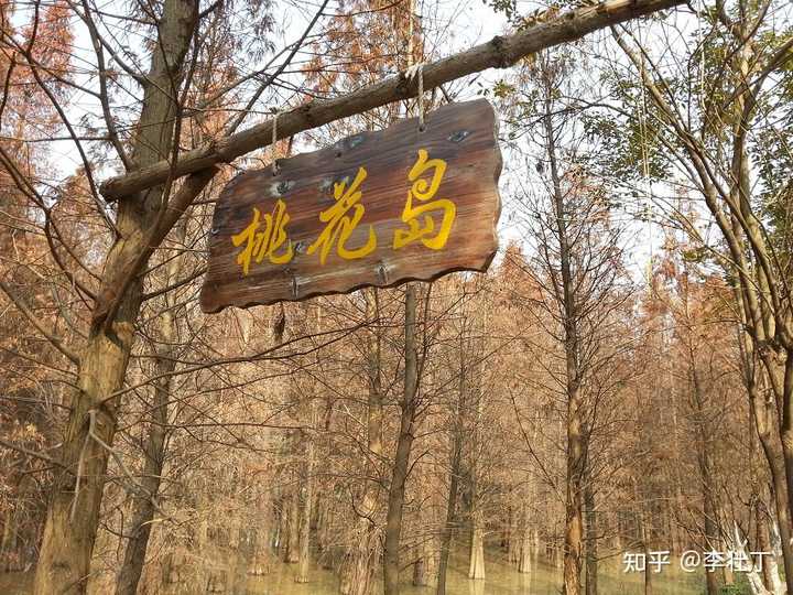 秋天的旅游景点_秋天美景旅游胜地_秋天旅游攻略景点必去