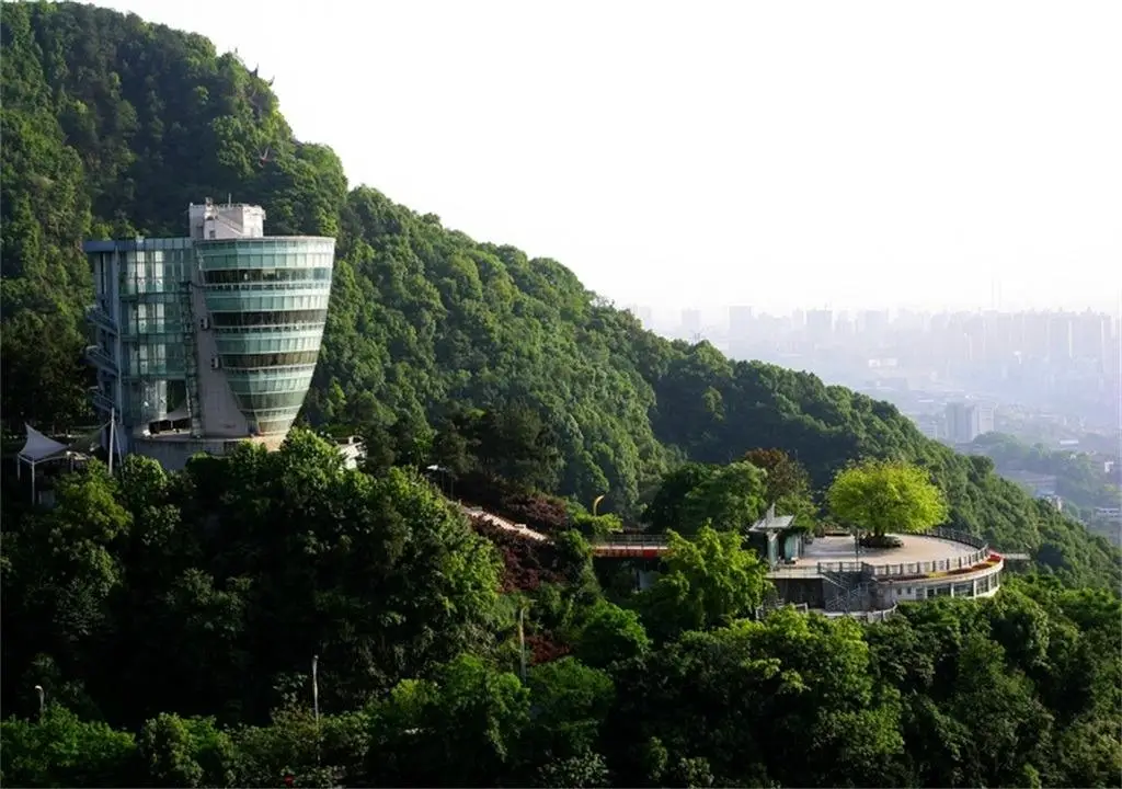 重庆旅游八天多少钱一个人_重庆旅游费用_重庆旅游一天预计费用