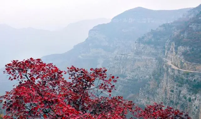 秋天景点旅游景点大全_秋天的旅游景点_秋天景点推荐