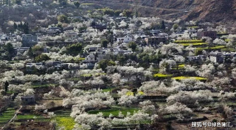 泸定的旅游特色文化_泸定特色旅游村_泸定旅游景点