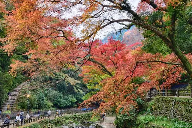 秋天景点旅游景点大全_秋天的旅游景点_秋天旅游攻略景点必去