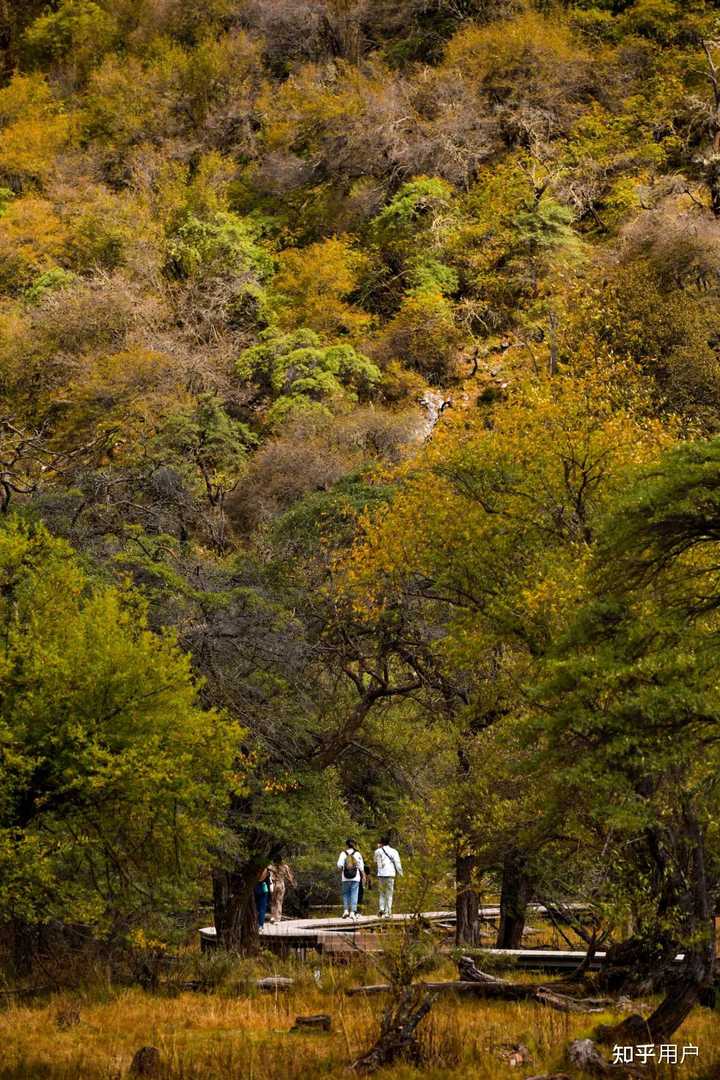 旅游季节的说说_山清山旅游最好季节_季节旅游广告文案