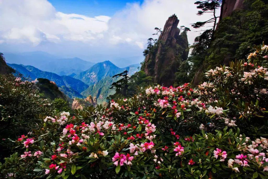 山清山旅游最好季节_旅游季节的说说_旅游季节推荐