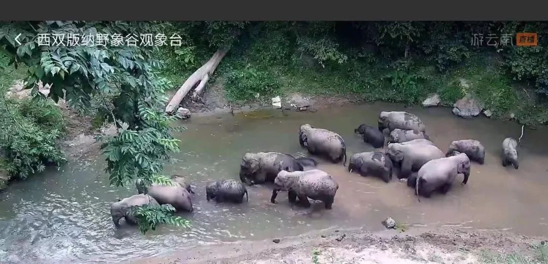 特色旅游今年怎么样_特色旅游项目_今年旅游特色