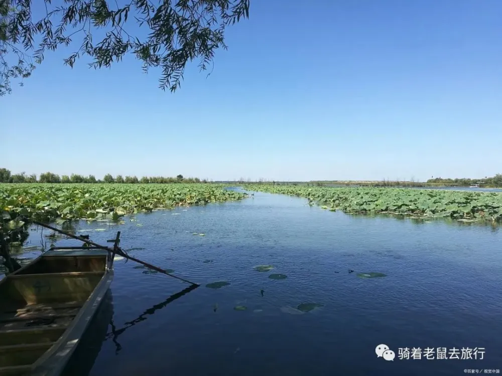 湖北省洪湖市有哪些景点_洪湖风景旅游区_洪湖市旅游景点