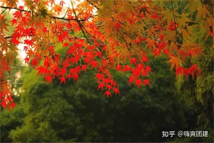 公司团建旅游的意义_公司旅游团建活动策划方案流程_如何看待公司团建旅游活动