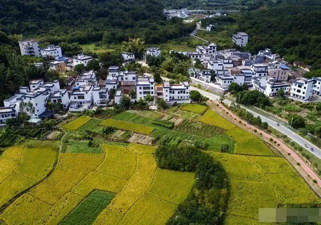 农村特色旅游产业有哪些_农村特色旅游建设实施措施_农村旅游 特色产业