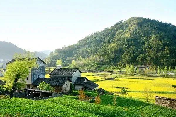 农村特色旅游产业有哪些_农村特色旅游建设实施措施_农村旅游 特色产业