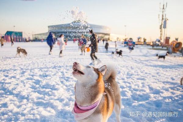 哈尔滨滑雪线路旅游图_哈尔滨滑雪旅游线路_哈尔滨滑雪景区