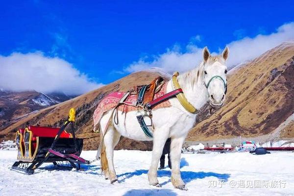 哈尔滨滑雪景区_哈尔滨滑雪线路旅游图_哈尔滨滑雪旅游线路