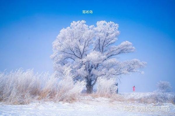 哈尔滨滑雪线路旅游图_哈尔滨滑雪景区_哈尔滨滑雪旅游线路