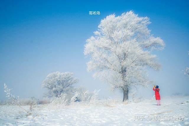 哈尔滨滑雪景区_哈尔滨滑雪旅游线路_哈尔滨滑雪线路旅游图