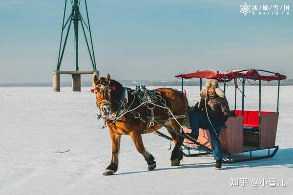 哈尔滨滑雪景区_哈尔滨滑雪旅游攻略_哈尔滨滑雪旅游线路