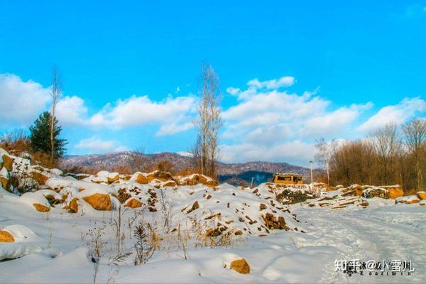 哈尔滨滑雪景区_哈尔滨滑雪旅游线路_哈尔滨滑雪旅游攻略