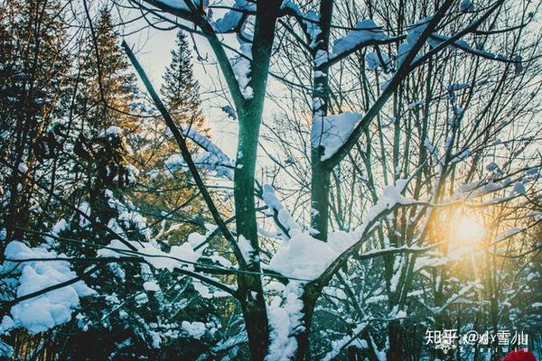 哈尔滨滑雪旅游线路_哈尔滨滑雪旅游攻略_哈尔滨滑雪景区