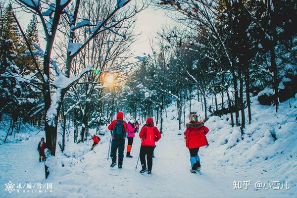 哈尔滨滑雪景区_哈尔滨滑雪旅游线路_哈尔滨滑雪旅游攻略