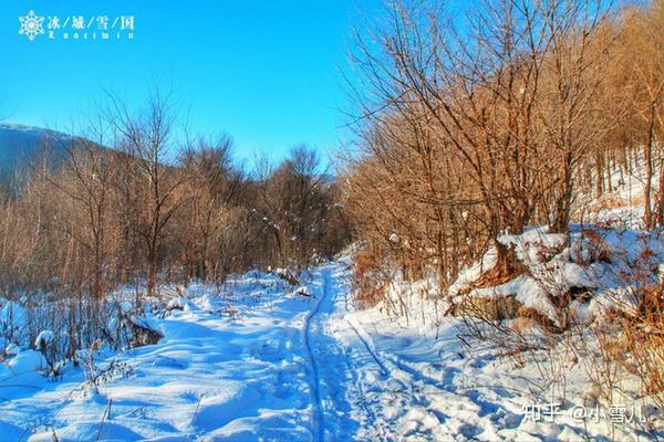 哈尔滨滑雪旅游攻略_哈尔滨滑雪旅游线路_哈尔滨滑雪景区