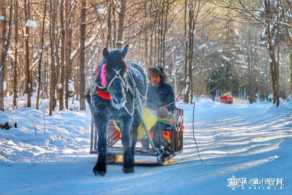 哈尔滨滑雪旅游攻略_哈尔滨滑雪景区_哈尔滨滑雪旅游线路