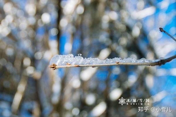 哈尔滨滑雪旅游攻略_哈尔滨滑雪景区_哈尔滨滑雪旅游线路